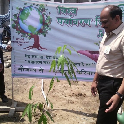 Plantation Day